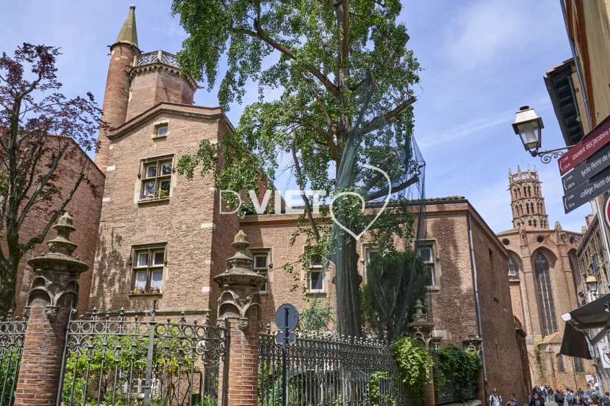 Photo TOULOUSE by VIET - Fermat