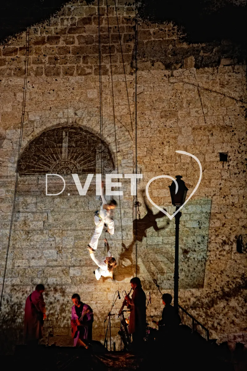 Photo TOULOUSE by VIET - spectacle de nuit