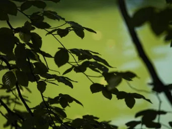 Photo TOULOUSE by VIET - Jardin des plantes