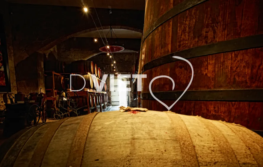 Photo TOULOUSE by VIET - Chateau de Cassaigne