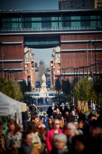 Photo TOULOUSE by VIET - Allees Jean Jaures