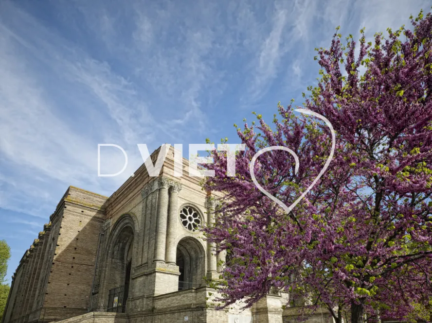 Photo TOULOUSE by VIET - Saint-Aubin