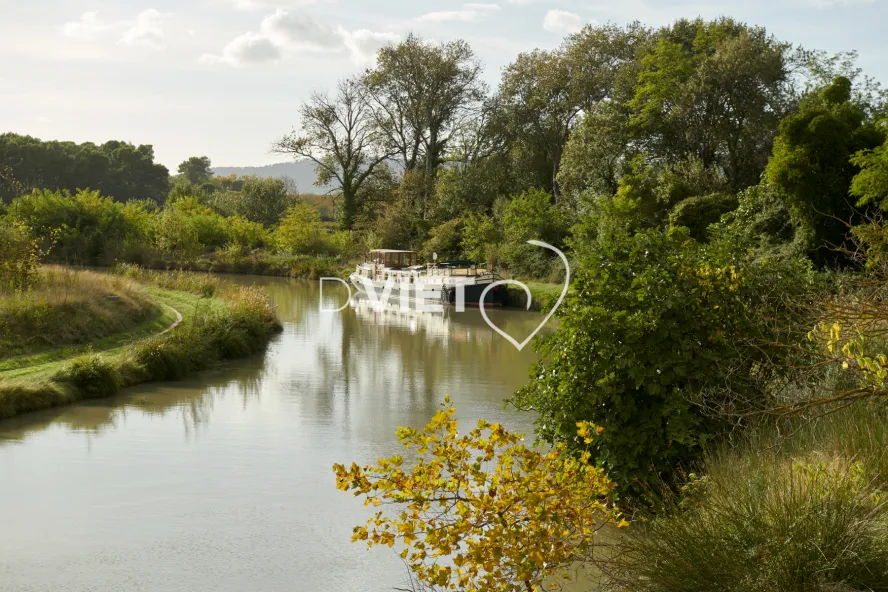 Photo TOULOUSE by VIET - D36