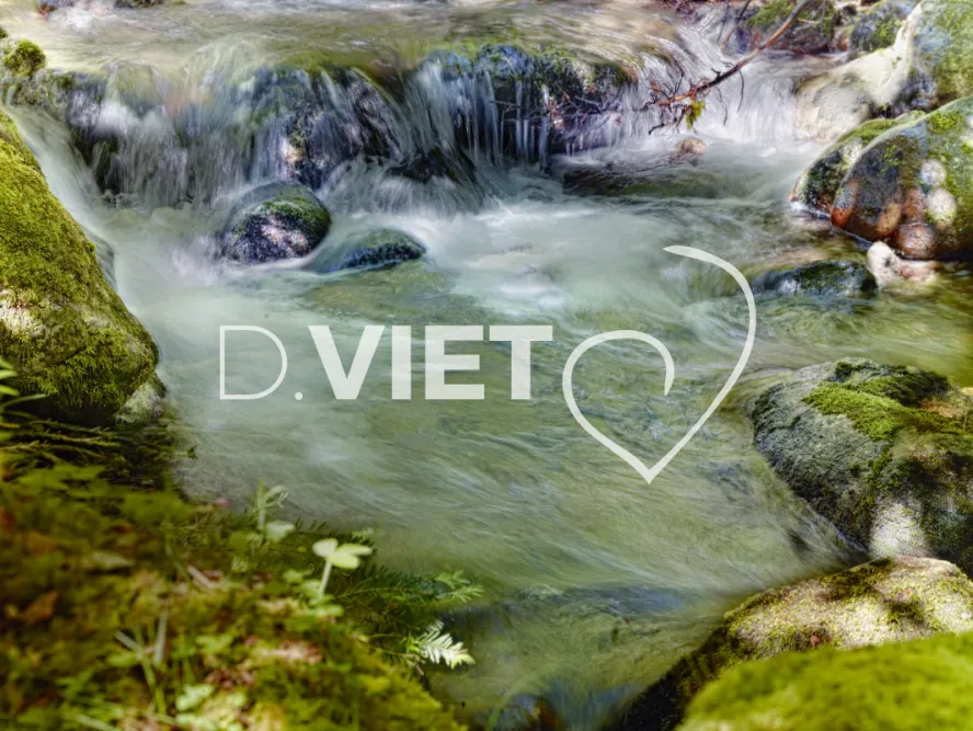 Photo TOULOUSE by VIET - cascade foret