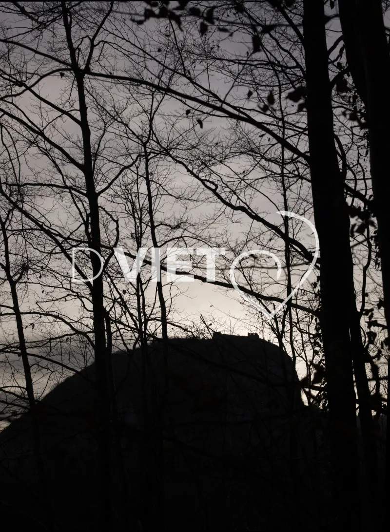 Photo TOULOUSE by VIET - Montsegur 09