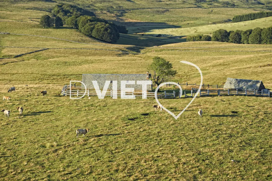 Photo TOULOUSE by VIET - Buron Aubrac