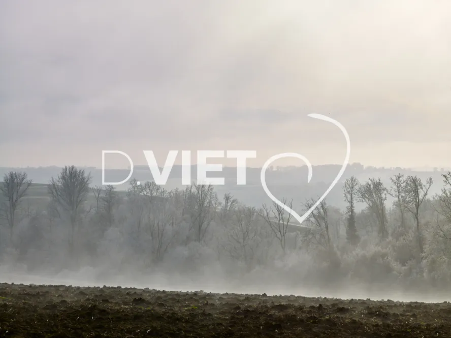 Photo TOULOUSE by VIET - VIET_008039