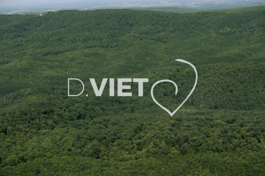 Photo TOULOUSE by VIET - 81 FORET DE GRESINE N44°01268 E001°45384 ©VIET 361.com