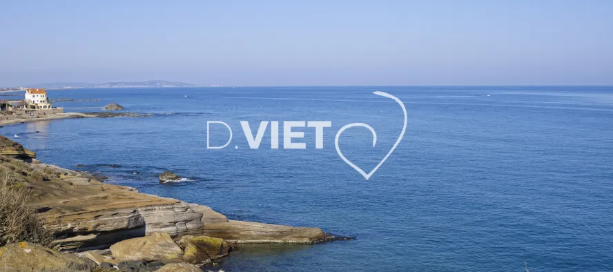 Photo TOULOUSE by VIET - VIET_006629