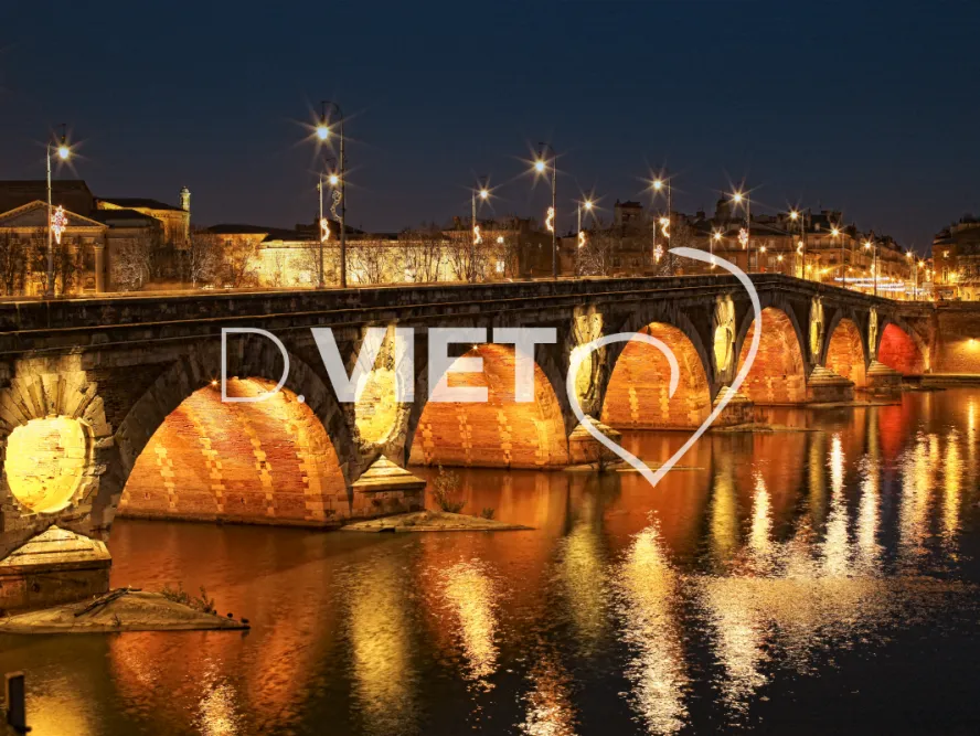 Photo TOULOUSE by VIET - Illuminations du pont Neuf