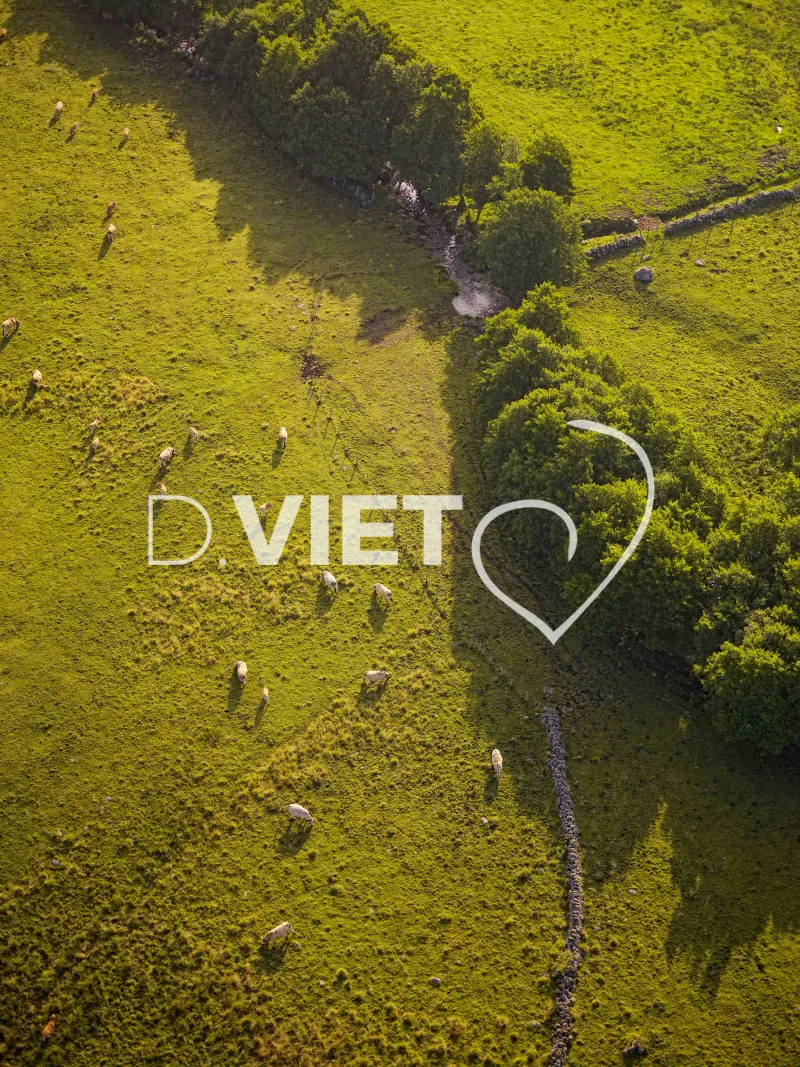 Photo TOULOUSE by VIET - Laguiole