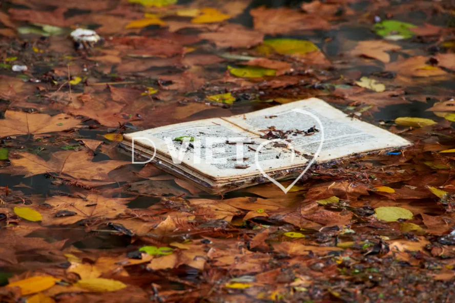 Photo TOULOUSE by VIET - VIET_011107