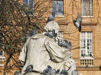 Photo TOULOUSE by VIET - Place Wilson
