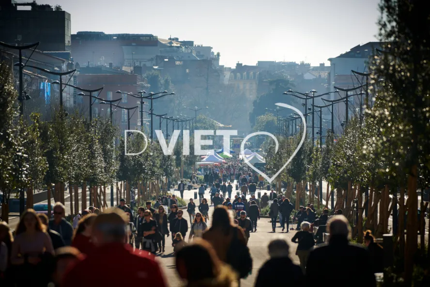 Photo TOULOUSE by VIET - ALLEES JEAN JAURES