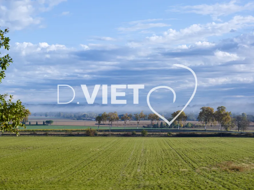 Photo TOULOUSE by VIET - BRUME