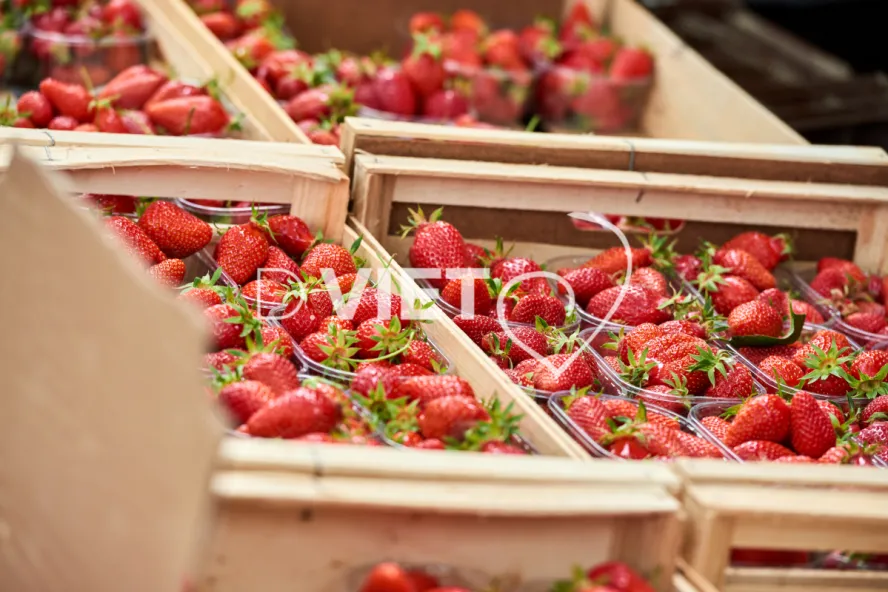 Photo TOULOUSE by VIET - VIET_008888