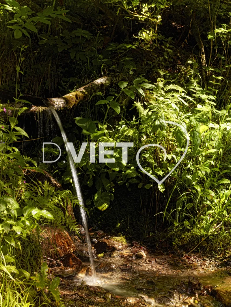 Photo TOULOUSE by VIET - cascade foret ruisselement