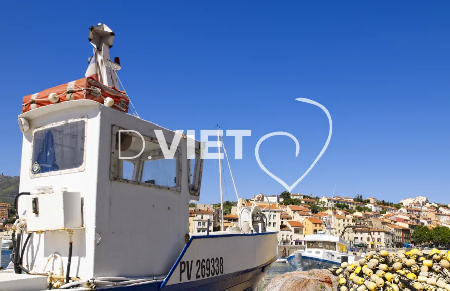 Photo TOULOUSE by VIET - Port Vendres