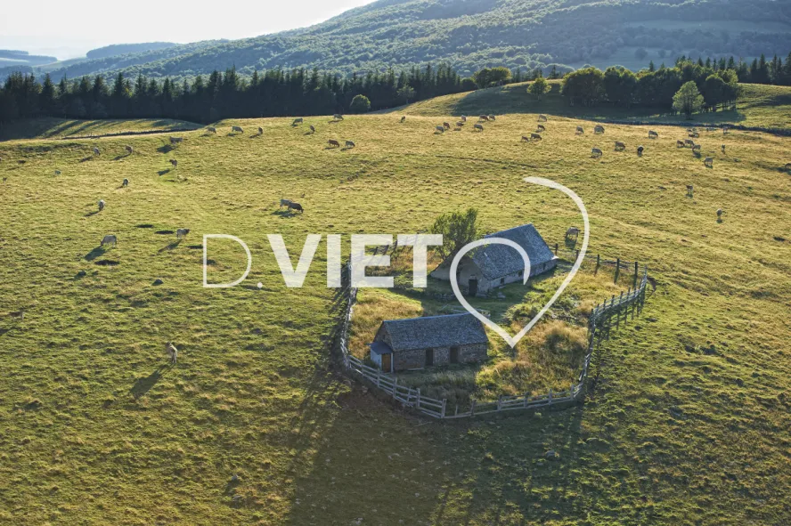 Photo TOULOUSE by VIET - Buron Aubrac