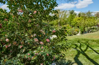 Photo TOULOUSE by VIET - Jardin Japonais