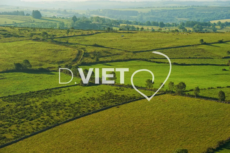 Photo TOULOUSE by VIET - VIET_005922