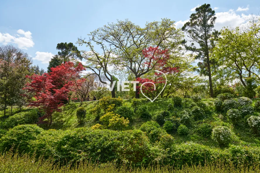 Photo TOULOUSE by VIET - Jardin Japonais