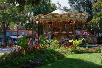 Photo TOULOUSE by VIET - le manege les plantes et le Cardinal