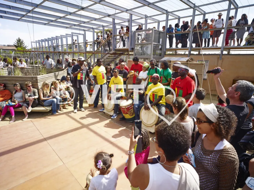 Photo TOULOUSE by VIET - RÉVEIL DES JARDINS : LE BAL CRÉOLE