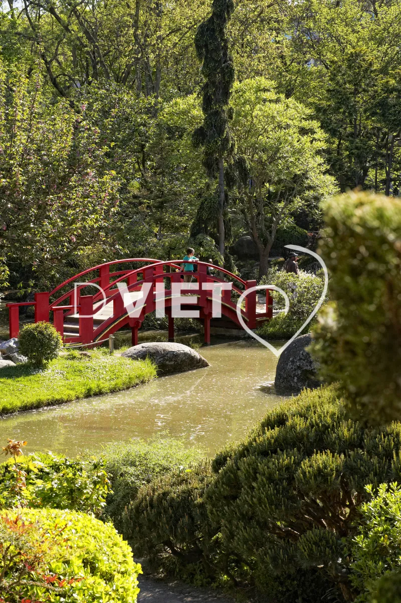 Photo TOULOUSE by VIET - Compans Caffarelli