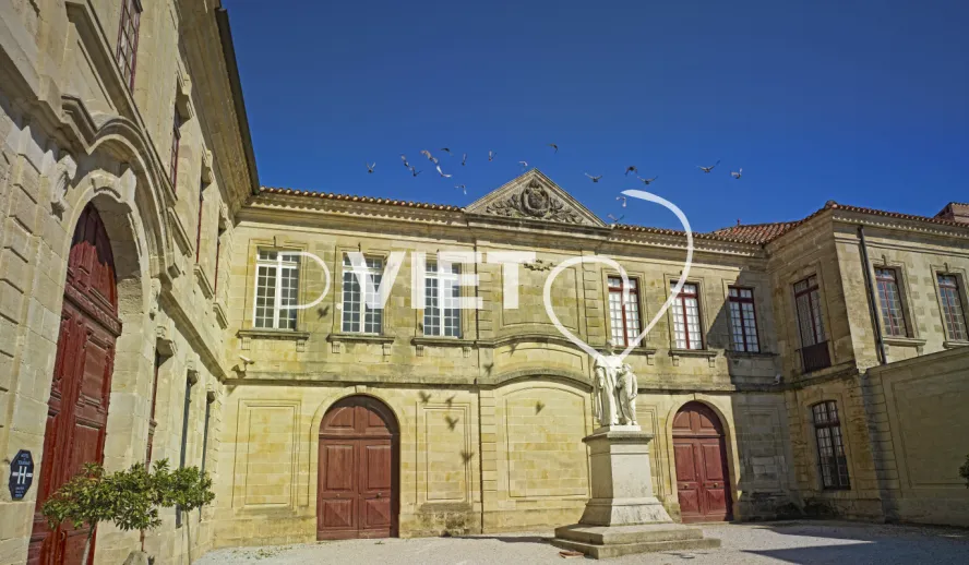 Photo TOULOUSE by VIET - Ecole Royale de soreze