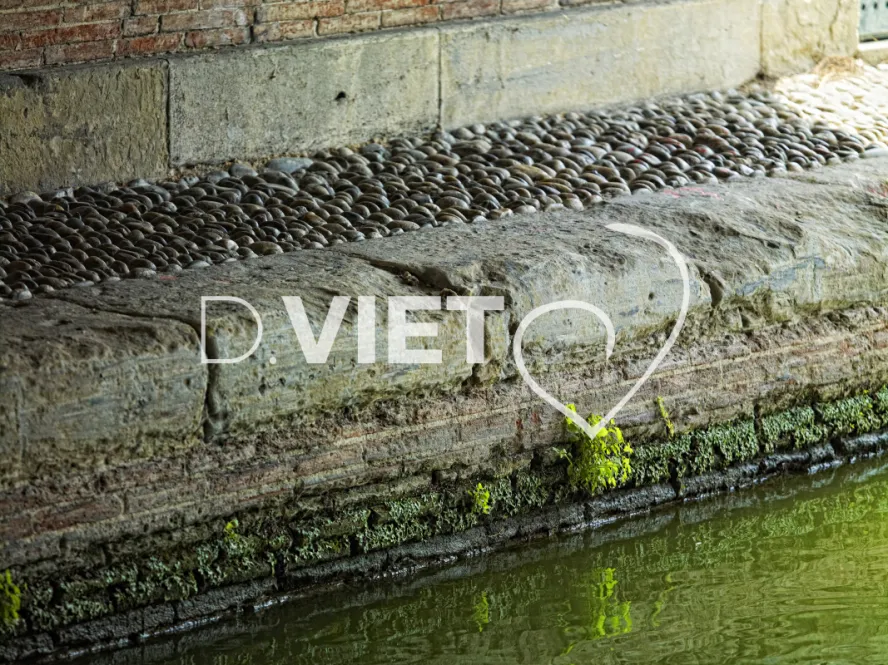 Photo TOULOUSE by VIET - les ponts jumeaux