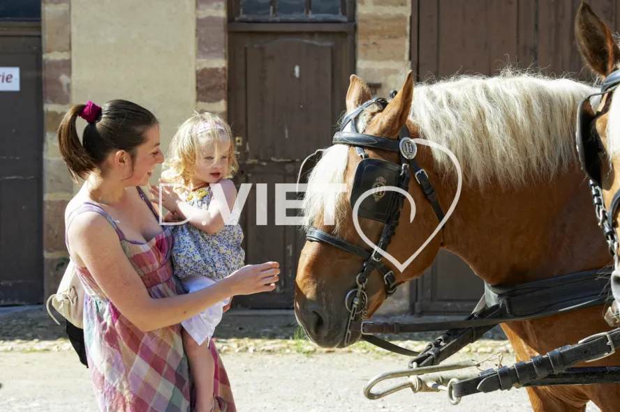 Photo TOULOUSE by VIET - Haras de Rodez