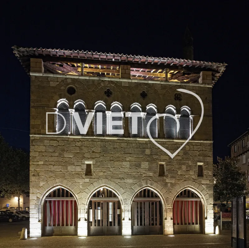 Photo TOULOUSE by VIET - office de Tourisme