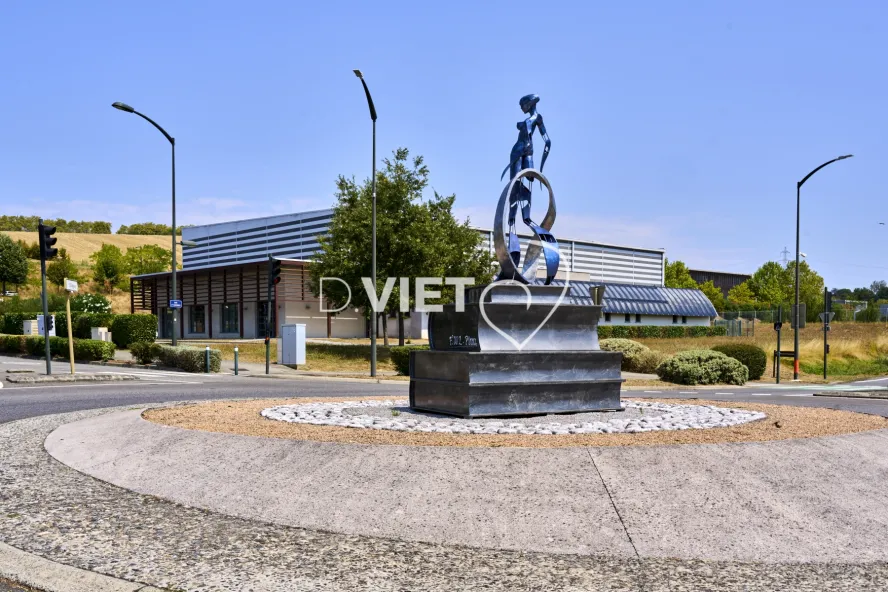 Photo TOULOUSE by VIET - QUINT FONSEGRIVES Complexe Pierre Izard