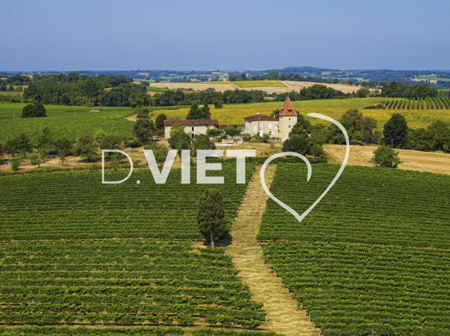 Photo TOULOUSE by VIET - VIET_003718