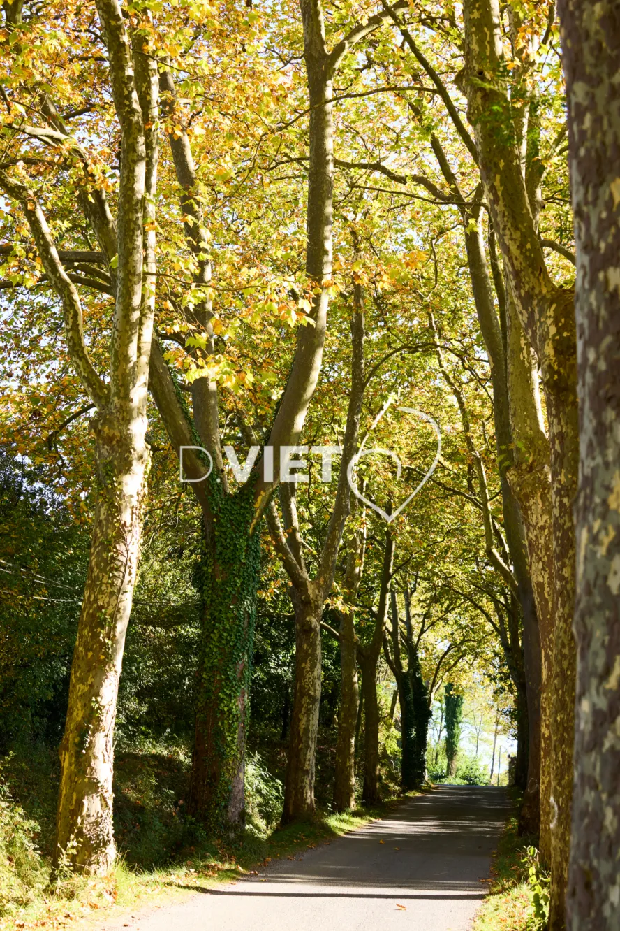 Photo TOULOUSE by VIET - Le Village d'Espanes