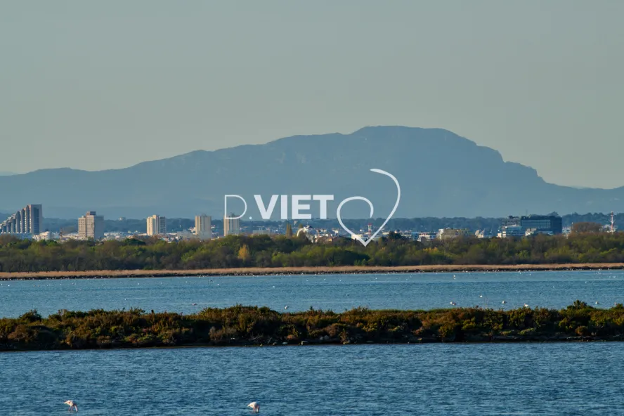 Photo TOULOUSE by VIET - Montpellier et Pic Saint Loup