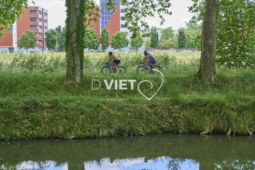 Photo TOULOUSE by VIET - vélos de route sur le canal du midi