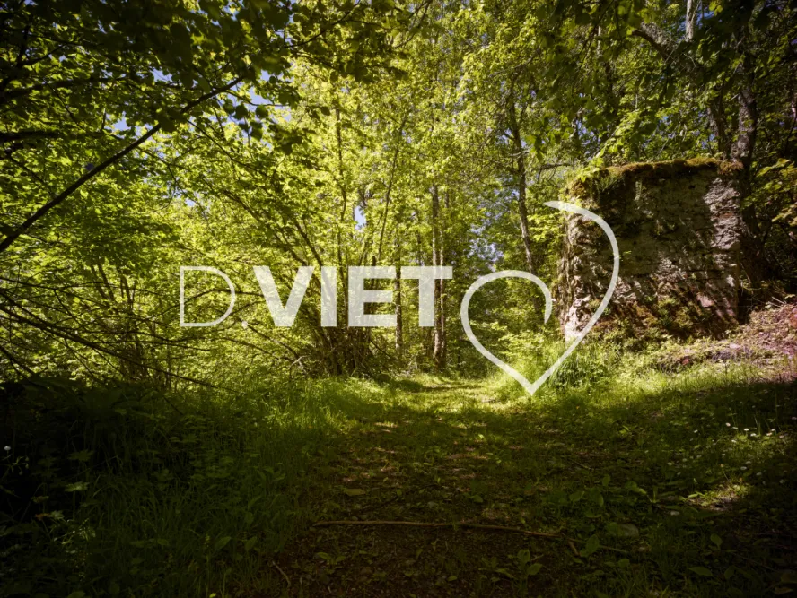 Photo TOULOUSE by VIET - chemin