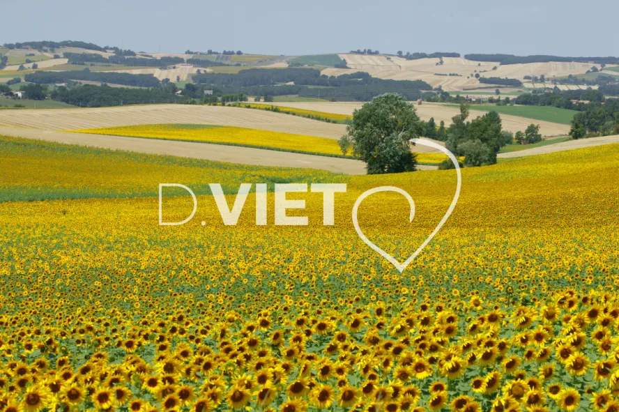 Photo TOULOUSE by VIET - 32 Miradoux