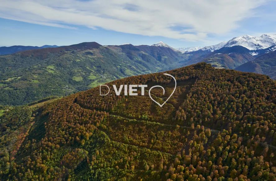 Photo TOULOUSE by VIET - PYRENEES