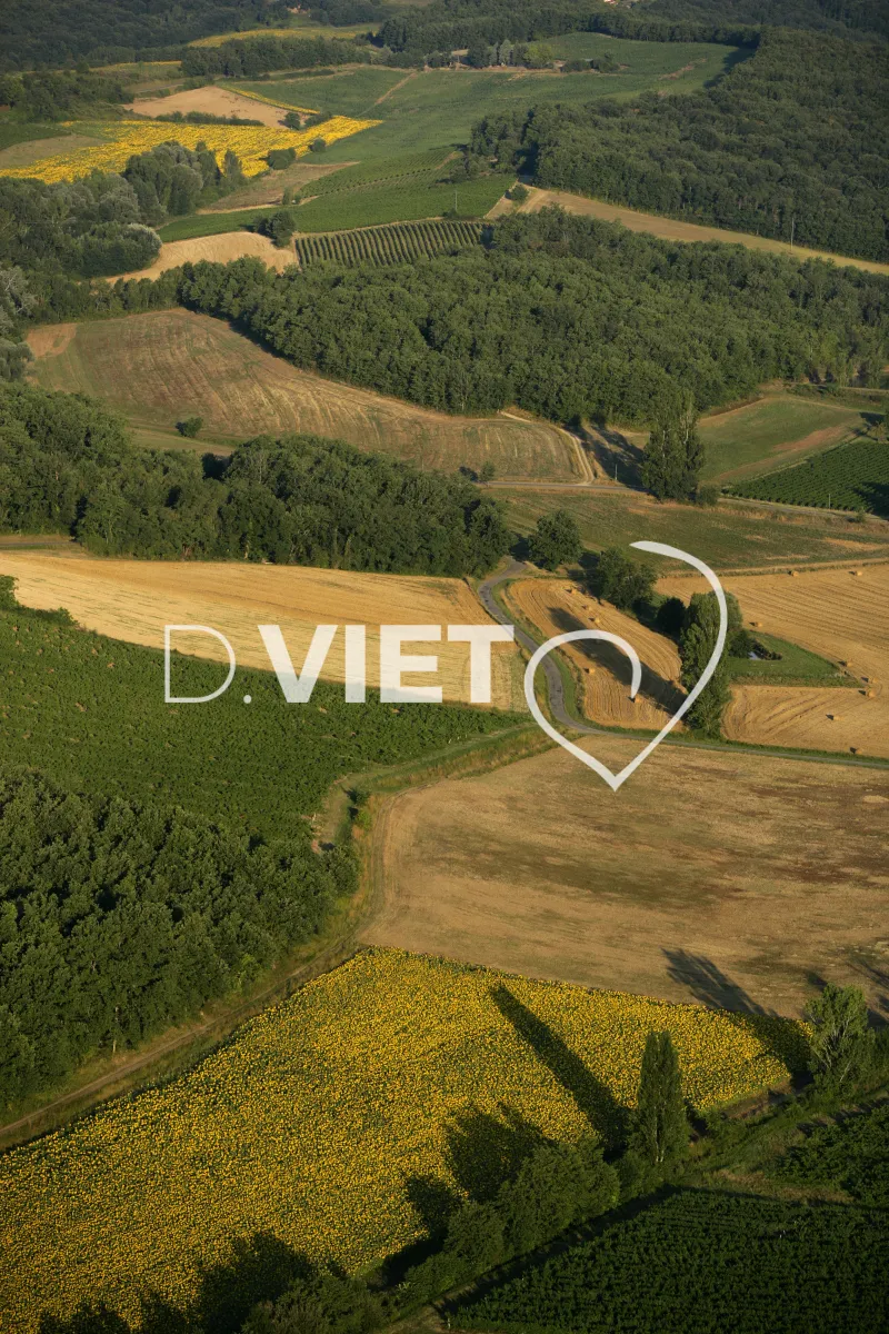 Photo TOULOUSE by VIET - VIET_007593