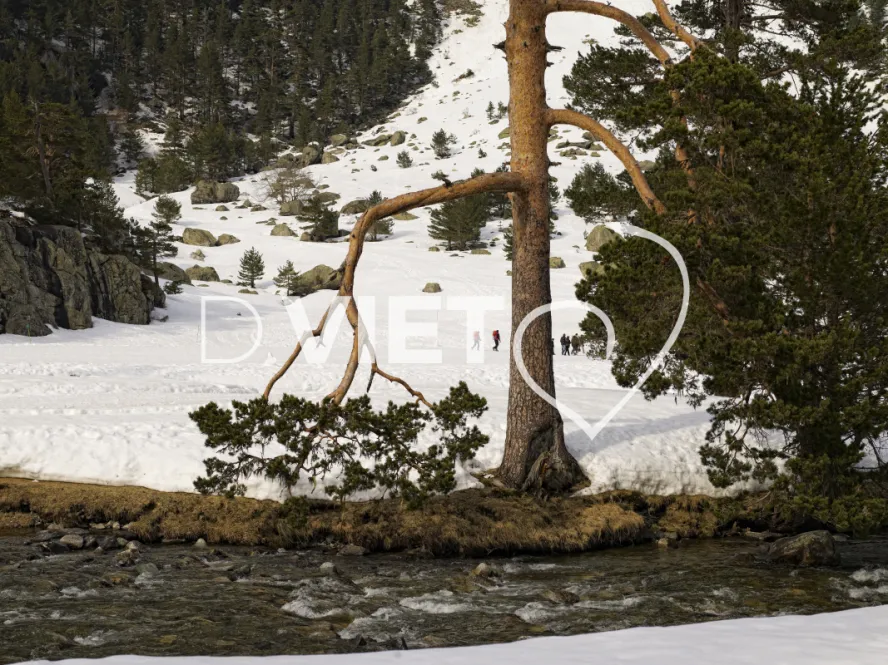 Photo TOULOUSE by VIET - Pont d Espagne lac de gaube vignemale
