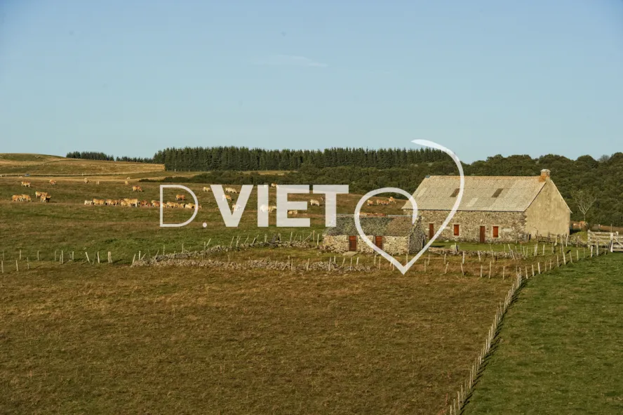 Photo TOULOUSE by VIET - Buron Aubrac