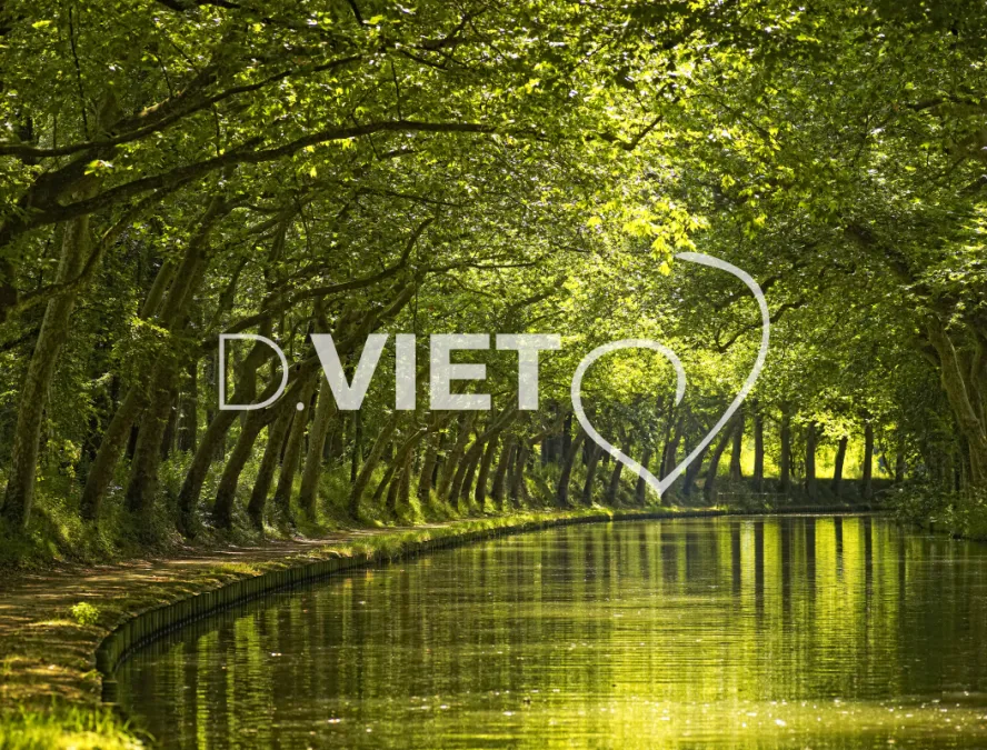 Photo TOULOUSE by VIET - Canal du midi