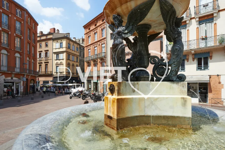 Photo TOULOUSE by VIET - Place Salengrp