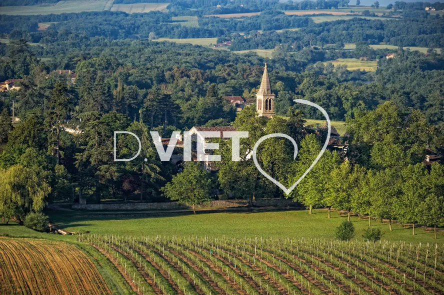 Photo TOULOUSE by VIET - Cassaigne