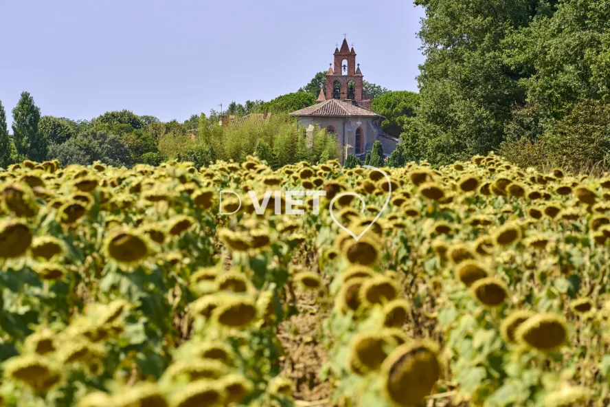 Photo TOULOUSE by VIET - DREMIL LAFAGE Habitat Pavillonnaire