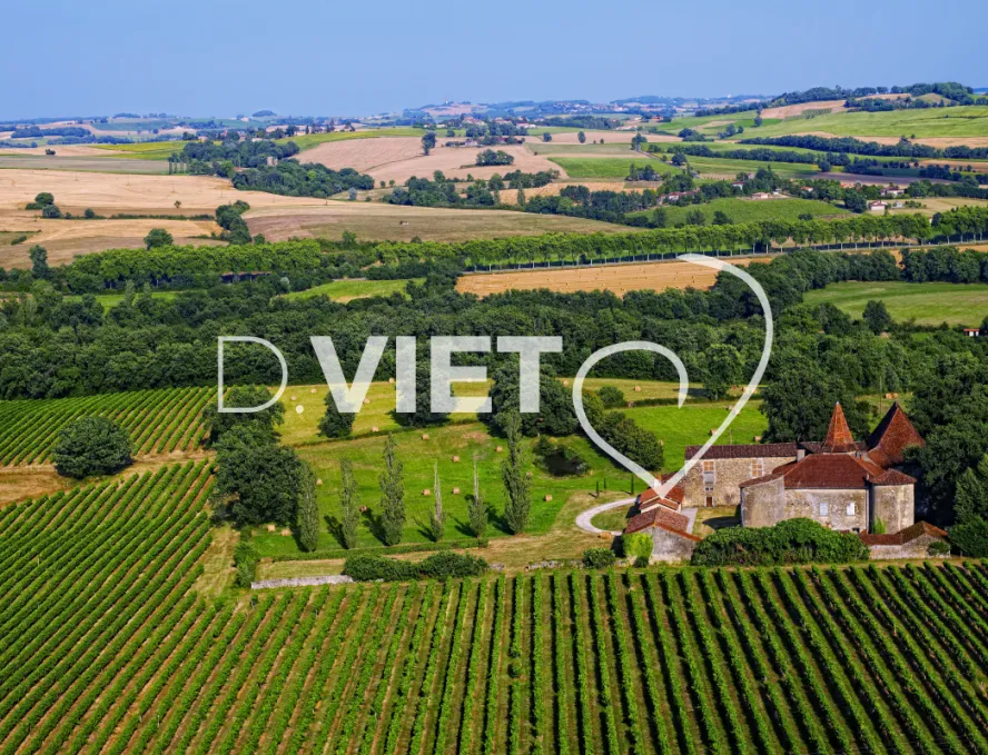 Photo TOULOUSE by VIET - VIET_003720