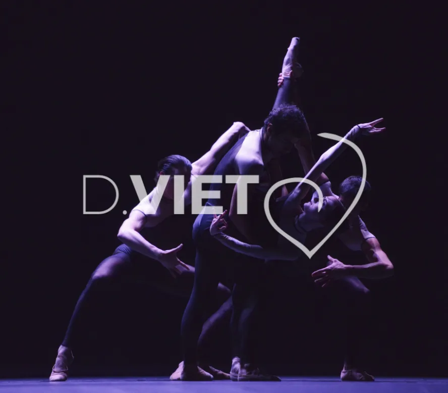 Photo TOULOUSE by VIET - Ballet du capitole